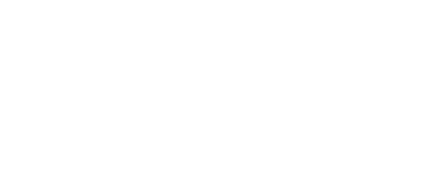 Eidos Global